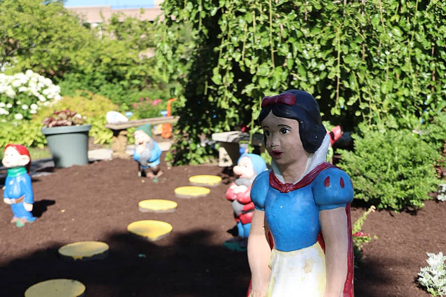 Snowwhite-Path